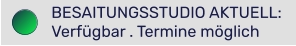 BESAITUNGSSTUDIO AKTUELL: Verfügbar . Termine möglich