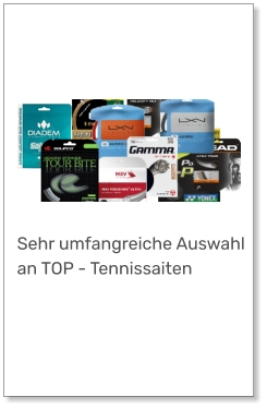 Besaitungsservice incl Saite