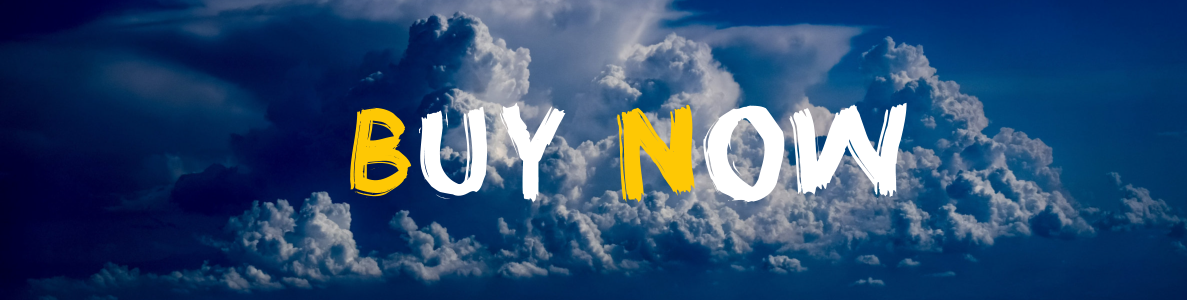 BuyNow WEB