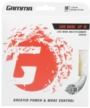 GAMMA LiveWire XP