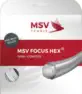 MSV Focus HEX