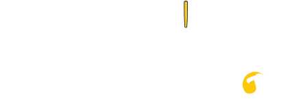 Professioneller Besaitumgsservice