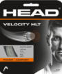 HEAD Velocity MLT